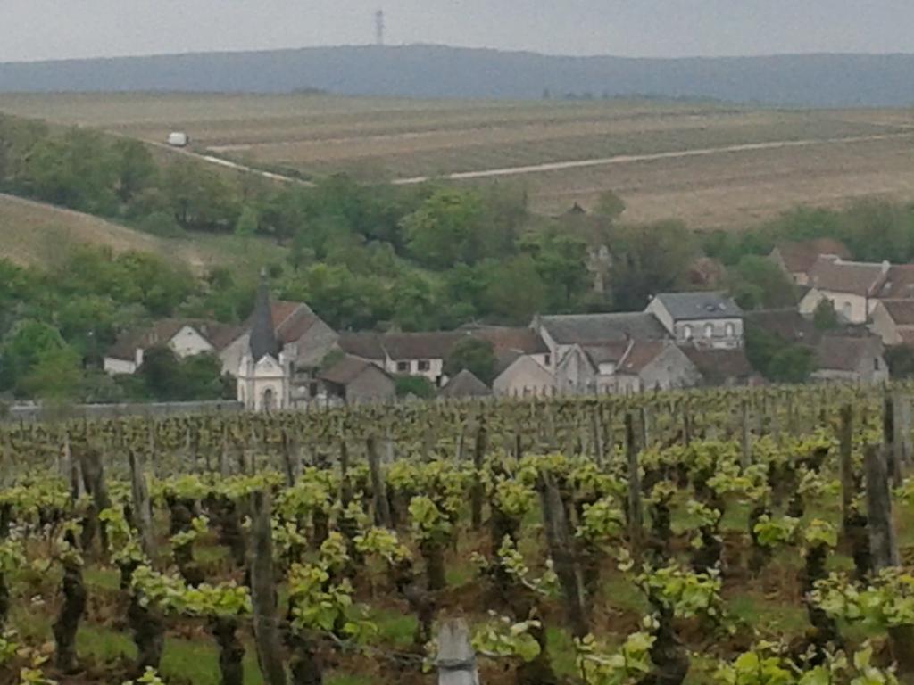 מלון סנסר Le Clos Saint Martin מראה חיצוני תמונה